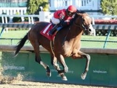 Preview: Breeders' Cup Sprint 2020 ( Horses, Racecard, 2019  ... Image 2